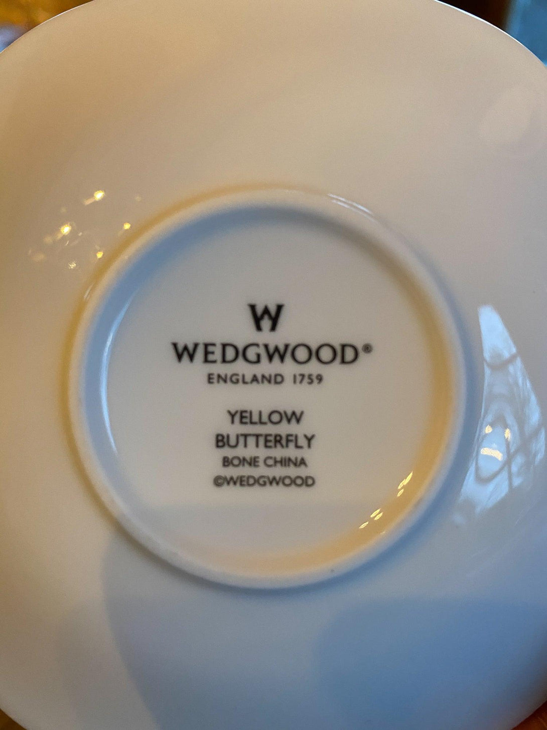 Wedgwood kopje met schoteltje - Bamestra Curiosa